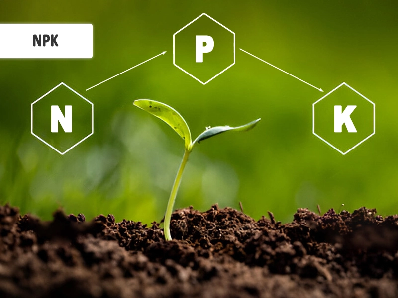 NPK Fertilizer